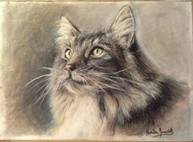 Gato